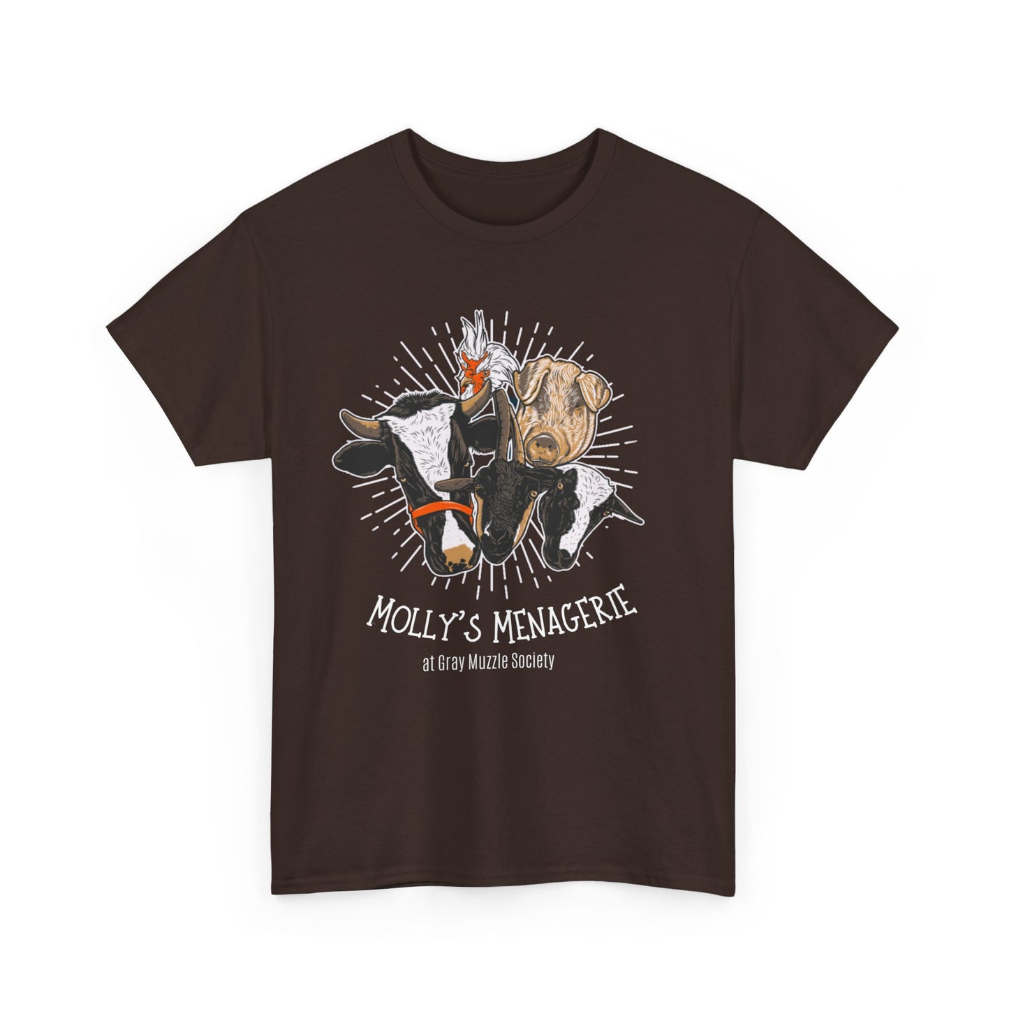 Meet Molly's Menagerie