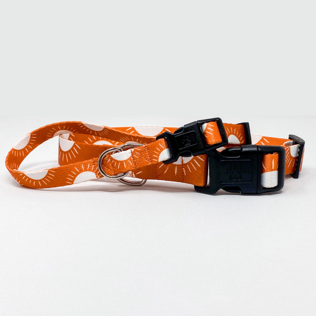 Sunshine Recycled Dog Collar | Bohemian Orange Sun