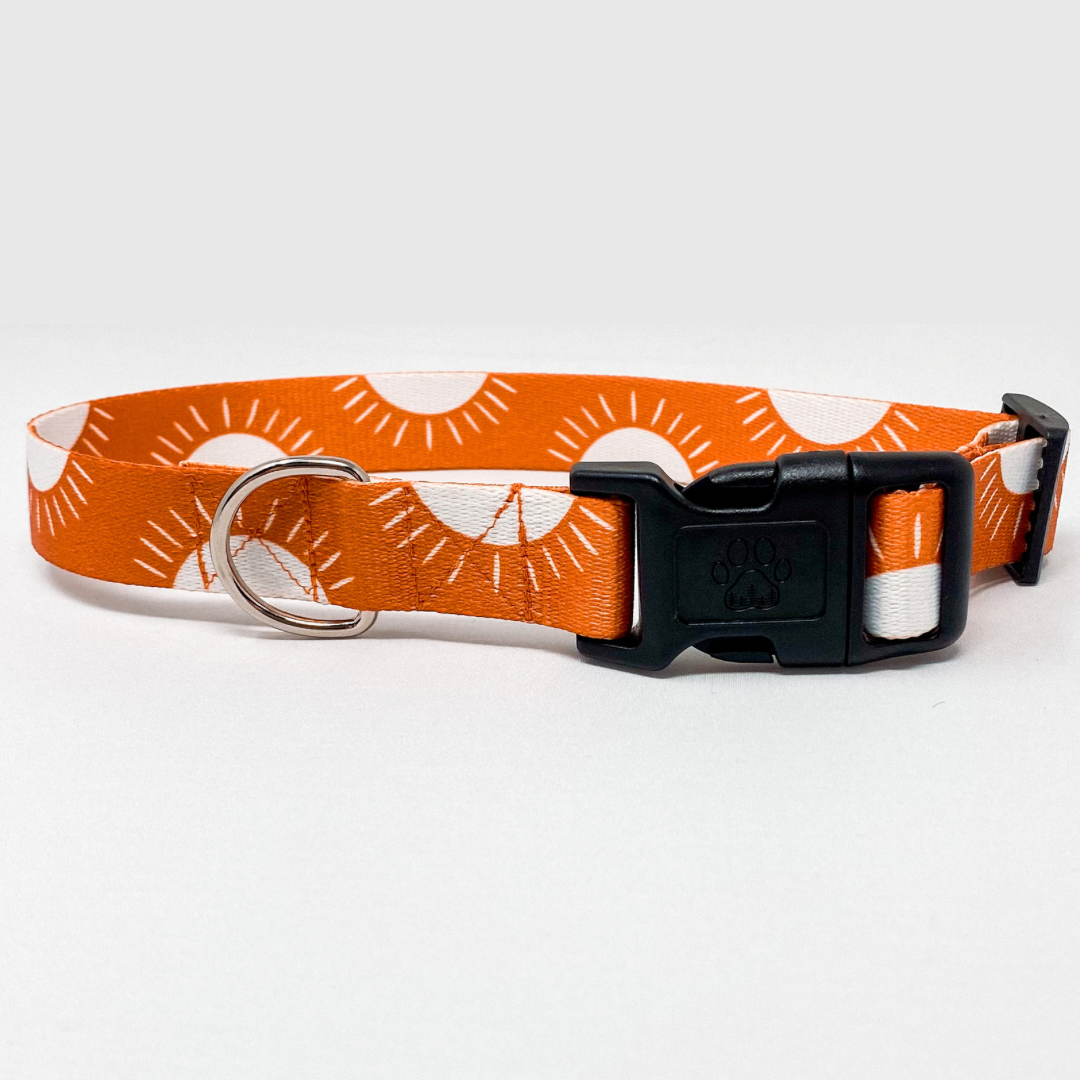 Sunshine Recycled Dog Collar | Bohemian Orange Sun