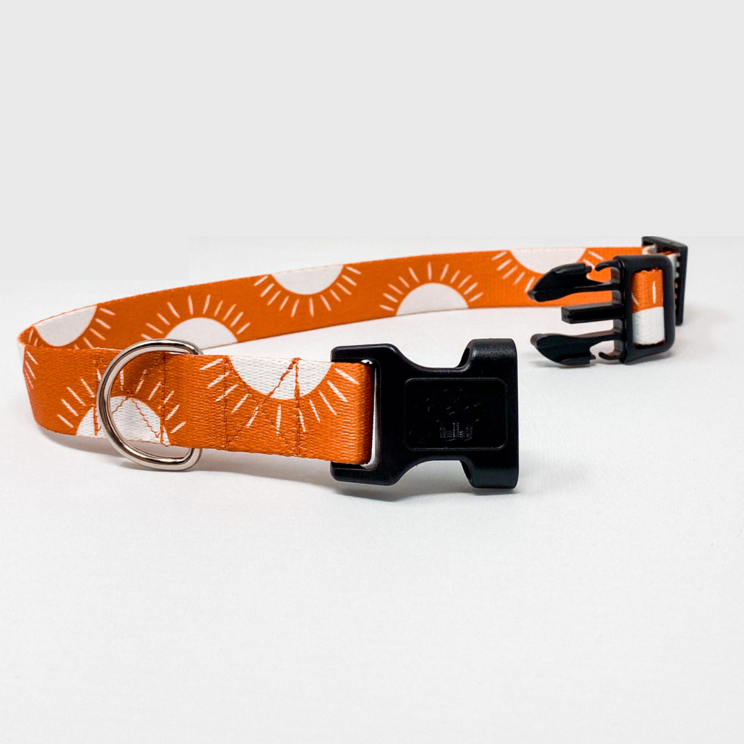 Sunshine Recycled Dog Collar | Bohemian Orange Sun