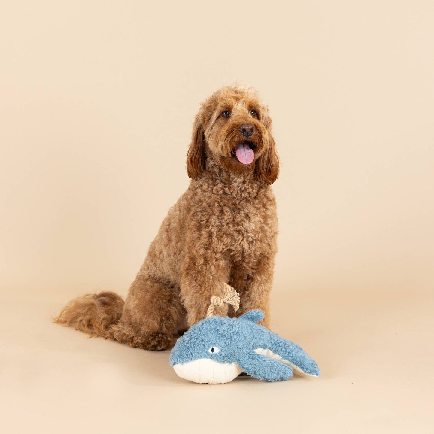 Earth Friendly Whale Dog Toy