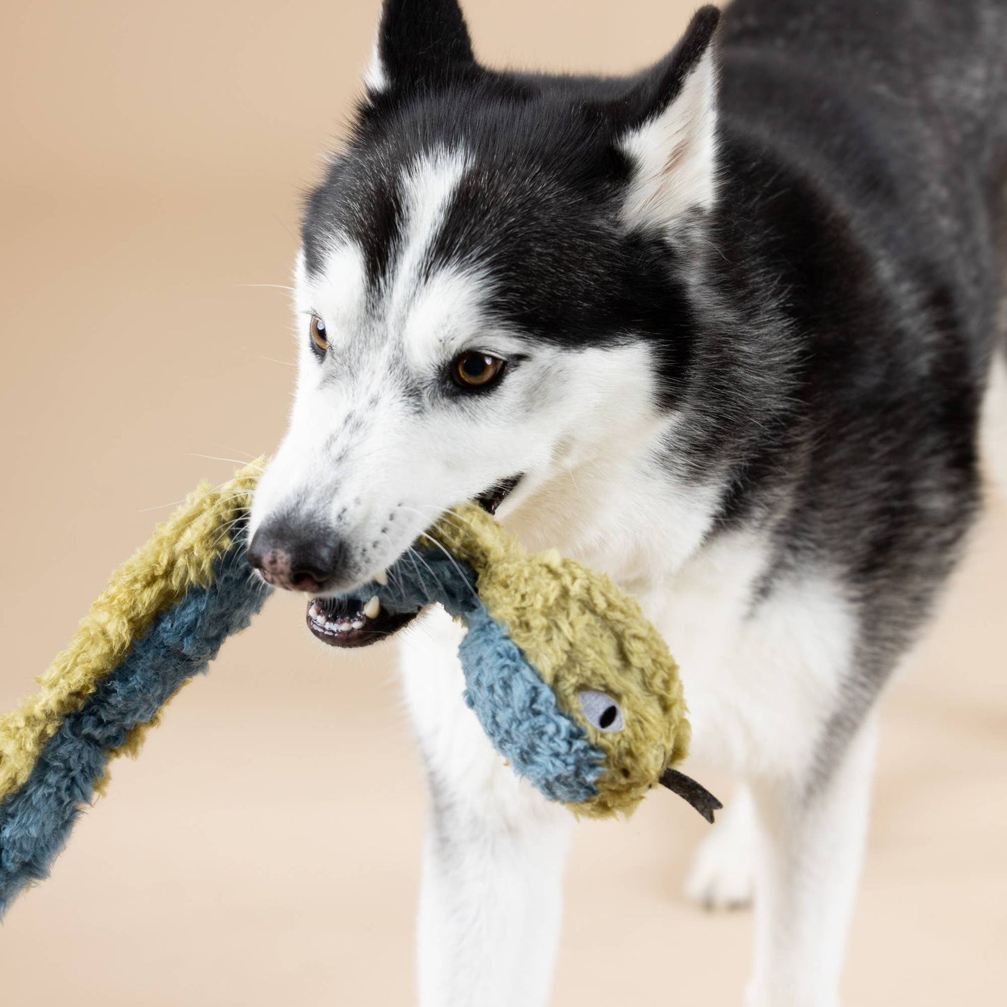 Eco-Friendly Snake Dog Toy