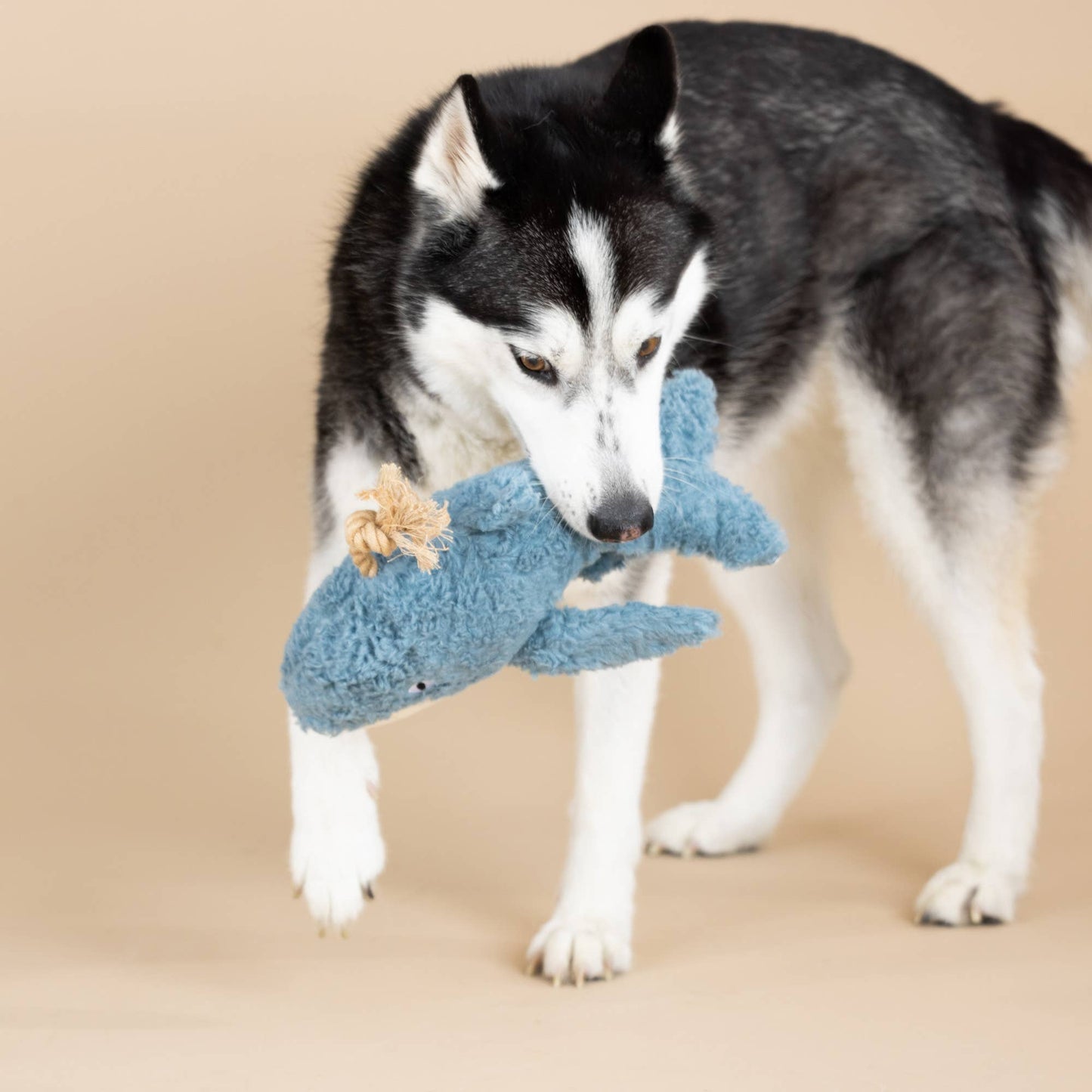 Earth Friendly Whale Dog Toy