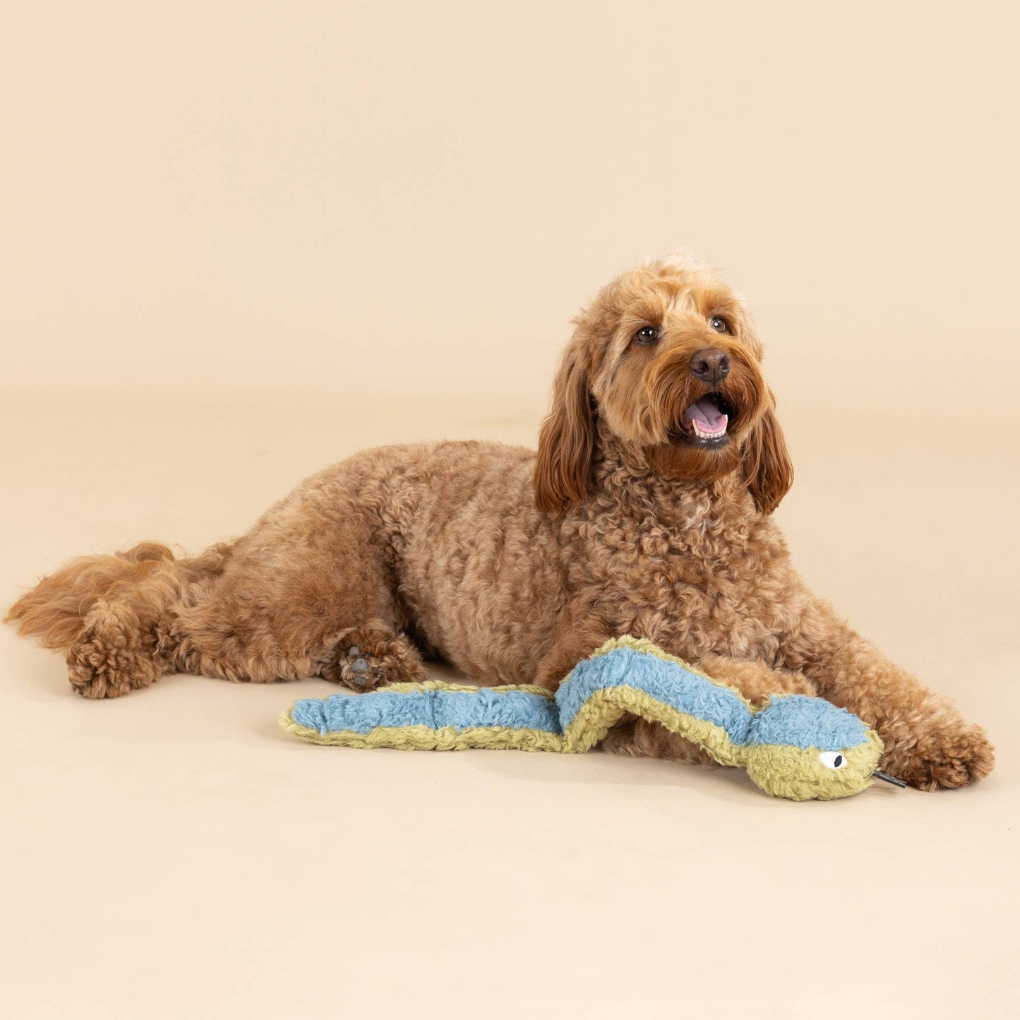 Eco-Friendly Snake Dog Toy