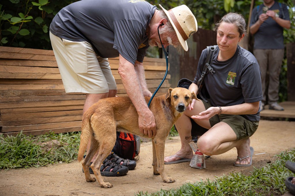 Operation Amazonas outreach team providing care to a dog in 2026