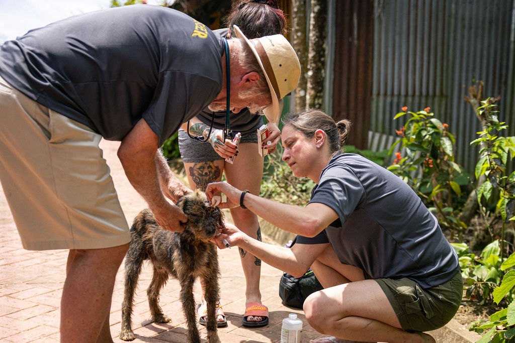Operation Amazonas veterinary outreach in the Colombian Amazon